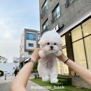 츄스타일