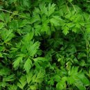 전호농장 이미지