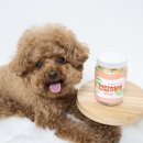 건강하개 먹개 이미지