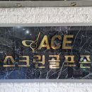 에이스스크린골프연습장 이미지