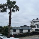 카프리애월민박 이미지