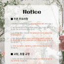 플라워케이크로헤