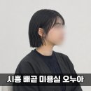 몽몽이 미용실 | 시흥 배곧 미용실 오누아｜단발 매직, 테슬컷 솔직후기