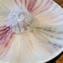 칠암거북 이미지