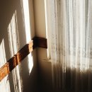 대도의료기 | 여름 전기요금 절약, 창문 햇빛가리개 3종 비교 (반사필름·버블·암막커튼 실측 후기)