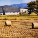 해바라기1호태양광발전소 이미지