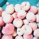 늘해랑농원 이미지