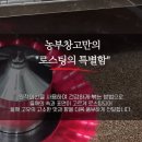 국내산 100% 저온압착 참기름·들기름 추천, 농부창고 생강청 직접 먹어본 후기