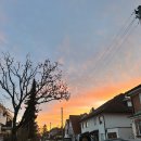 개야농장 | [20260114-20260120] 받홈부르크에또,,브뤼셀,사우나,뮌스터,파울라 재회!!