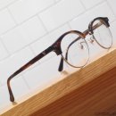 쿤(블루문) 이미지