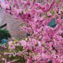 연세김의원 이미지