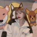 수진글로벌 이미지