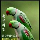 시천교 이미지