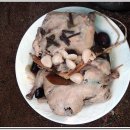 오리파티 이미지