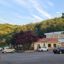 포레엠(Foret M) 이미지