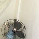 뽀삐 | '오늘'을 다녀왔습니다. [진주카페 / 망경동 / 신상카페]