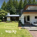 당진시 교동길 | 당진 카페 커피박 당진 유일의 감성 카페