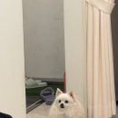 제주시체형관리 목적으로 방문한 아로마캠프 후기