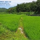 영천시임고면사리보건진료소 네이버블로그