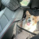 태성세차장 이미지