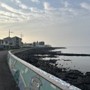 어느날 제주 애월 이미지