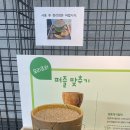 여주박물관 어린이 체험 후기 아이와 함께 즐기는 역사 여행