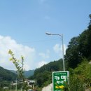 카멜펜션 이미지