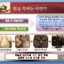 의성 미네랄 흑마늘 구운소금 이미지