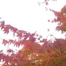 가을푸드