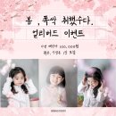 스튜디오봄 이미지
