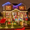 지니나라 이미지