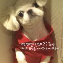 맥 이미지