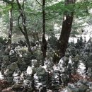 모정회관 이미지