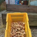 덕두원길 이미지