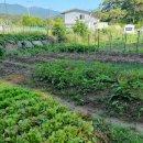 하정농장 이미지