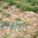 삼인농장 이미지