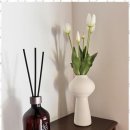 스테이 누누 이미지