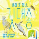 또만나 네이버블로그