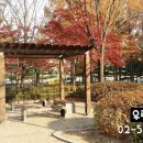 미도아파트_하 이미지