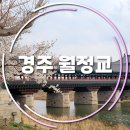 월정교 화장실 이미지