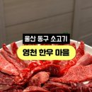 영천한우마을 이미지