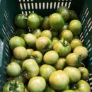 힘찬농장 이미지