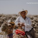 실로암의료재단 이미지