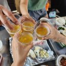 나문재 | 태안 여행 &amp; '나문재 펜션' 후기