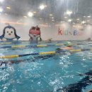 주식회사 블루키즈어린이수영장 | 🏊‍♂️키즈 블루 어린이 수영장: 안전하고 즐거운 수영 교육의 성지!🌊