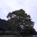 나주영산포철도공원 이미지