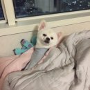 (주)포피메드 | [지난 날의 기록] 2017년 2월