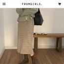 프롬프란 이미지