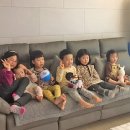 강화벤뎅이 이미지