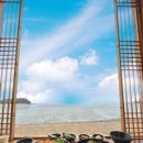 홍시식당 이미지